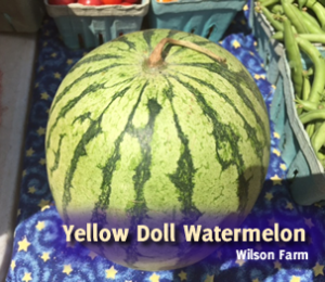 Yellow Doll Watermelon
